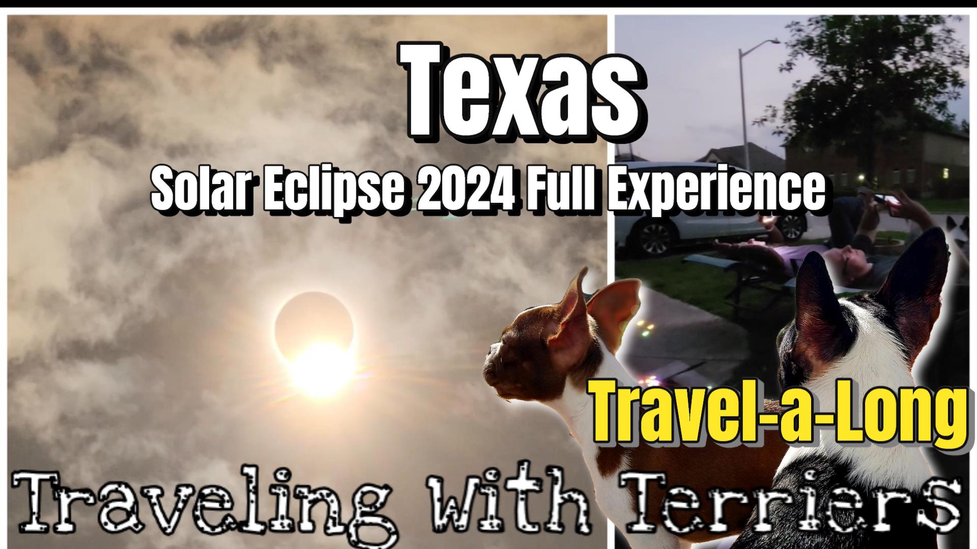 Traveling with Terriers sees the 2024 Solar Eclipse in Leander, TX