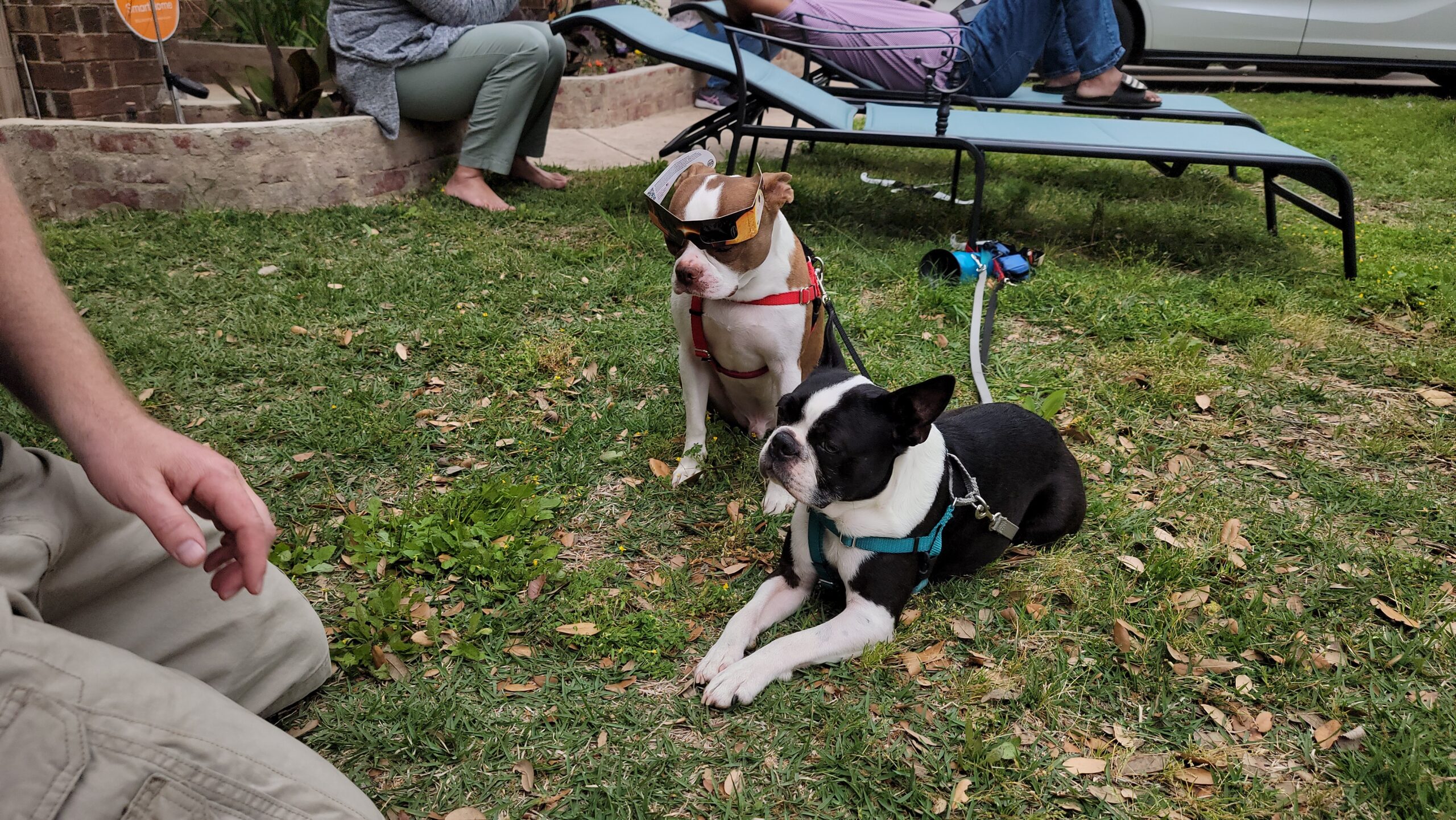 Tommy and Winston view the 2024 Solar Eclipse in Leander, Texas