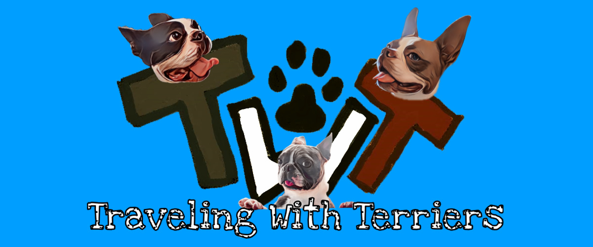 Traveling With Terriers