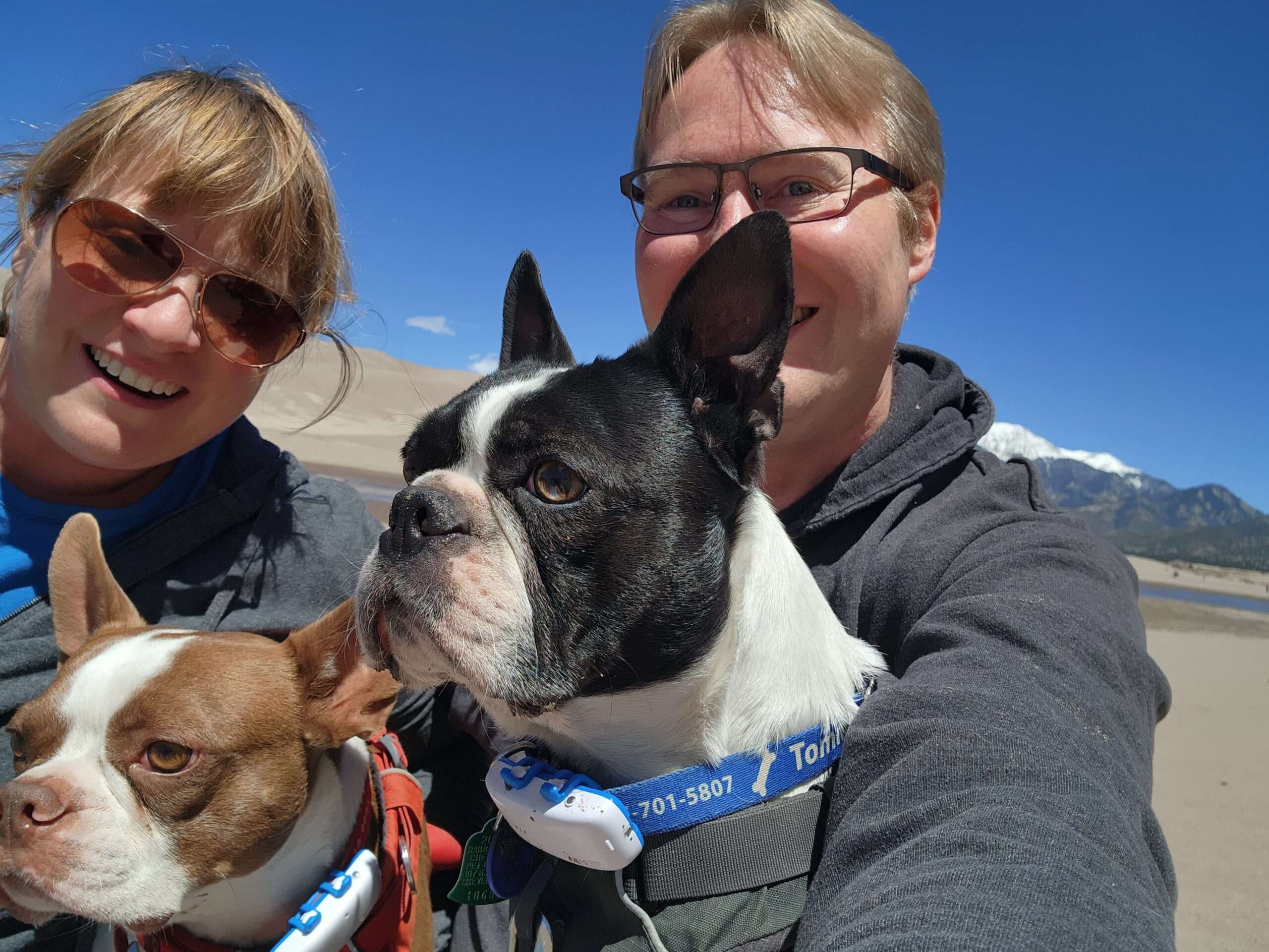 Traveling with Terriers at Great Sand Dunes National Park and Preserve in Colorado